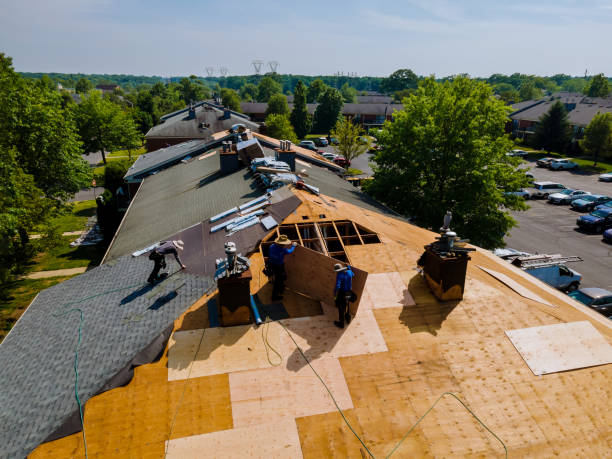 Best Roof Waterproofing Services  in Catahou, LA