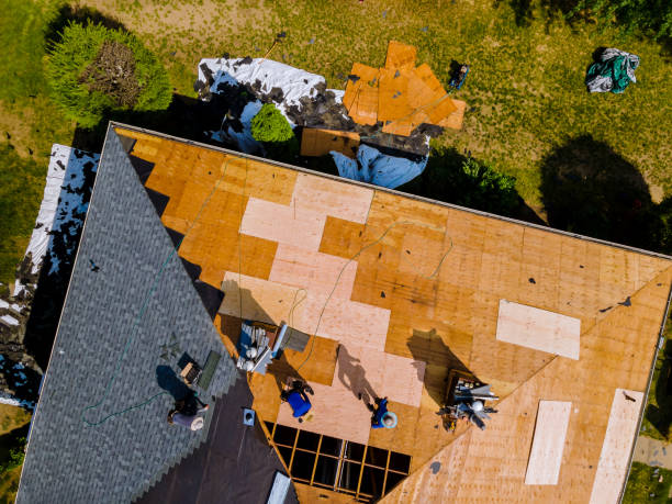 Best Roof Repair Services  in Catahou, LA