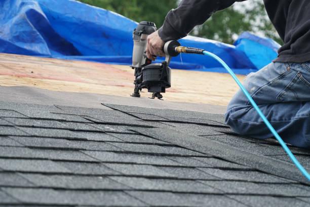 Best Shingle Roofing Installation  in Catahou, LA